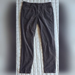 J.mclaughlin dark brown velvet pants size 6